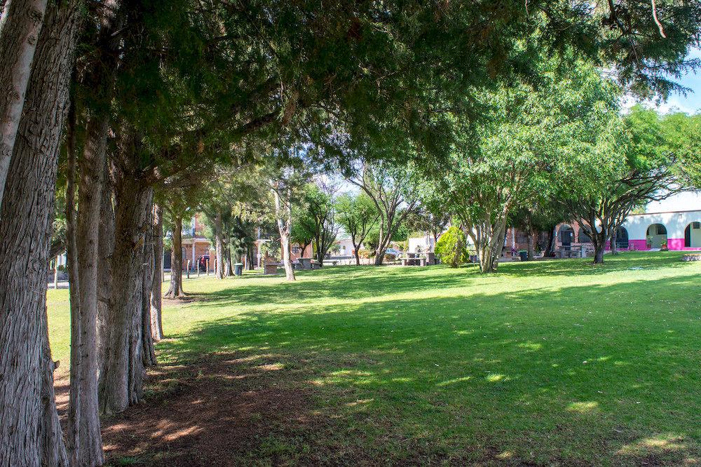 Hotel Rv Park San Ramon Альенде Экстерьер фото